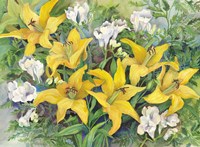 Gold Lilies And Freesia Fine Art Print