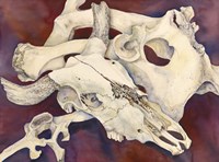 Remnants Fine Art Print