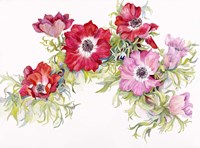 Red Anemonies Fine Art Print