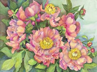 A Peony Garden Fine Art Print