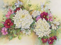 White Dahlias And Cosmos Fine Art Print