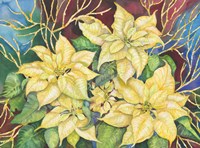 Golden Poinsettia Fine Art Print