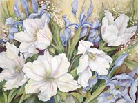White Tulips/ Blue Iris Fine Art Print