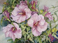 Pink Hibiscus Fine Art Print