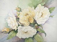 Cluster Of Yellow Roses Fine Art Print