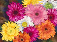 Gerberas Fine Art Print