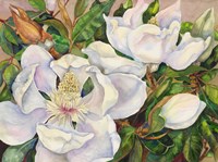 Magnolia Tree Fine Art Print