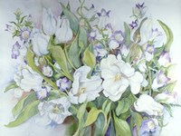 White Tulips And Canterbury Bells Fine Art Print