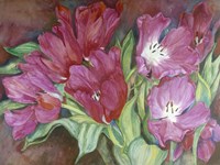 Ruby Reds Fine Art Print