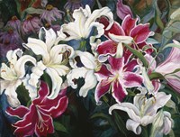 Field Of White And Pink Lilies Fine Art Print