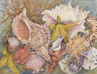 Treasures Of The Sea Fine Art Print