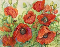 Poppies at their Peak Fine Art Print