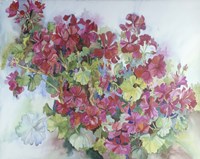 Geraniums Reaching For The Sky Fine Art Print