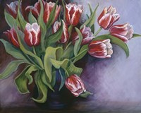 White Tipped Red Tulips Fine Art Print