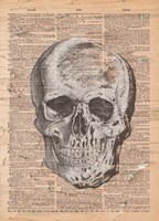 Red Skull Fine Art Print