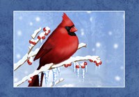 Snow Berries Fine Art Print