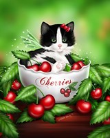Cherry Kitten Fine Art Print