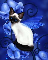 Sapphire Cat Fine Art Print