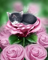 Enchanted Daydreams Fine Art Print