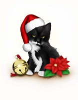 Santa Claws Framed Print