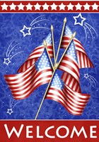 Welcome Stars And Stripes Fine Art Print