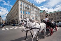 Horse Drawn Carriage in Vienna Fine Art Print