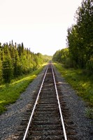 Manitoba Train Tracks Fine Art Print