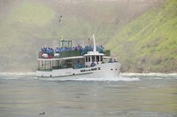 Sightseeing Boat in Niagara Falls by Cindy Miller Hopkins - various sizes