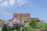 Hammershus Castle Ruins Fine Art Print