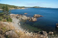Twillingate Coastline Fine Art Print