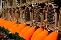 Prince Edward Island, Rustico Lobster Fishing Fine Art Print