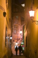 Griechengasse Visitors in Vienna, Austria Fine Art Print