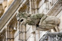 Belgium, Brussels, Grand Place, City Hall Fine Art Print