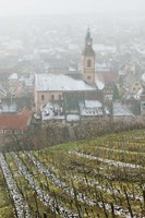 Alsatian Wine Village, France Fine Art Print