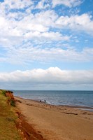 Beach at Cape Orby Fine Art Print