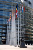 Union Parliament and flags, Strasbourg, France Fine Art Print