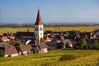 Ammerschwihr, Alsatian Wine Route Fine Art Print