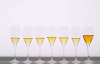 Wine Tasting Glasses, Maison de la Champagne Fine Art Print