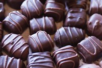 New Brunswick, Ganong Chocolate desserts Fine Art Print