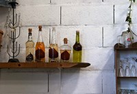 Collection of Pear Eau-de-Vie, Champagne Francois Seconde Fine Art Print