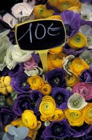Flower Bunches, Aix En Provence, France Fine Art Print