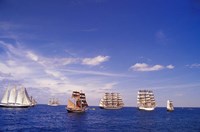 Tall Ships Race in Nova Scotia Fine Art Print