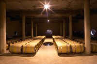 Aging Cellar at Vignoble Fine Art Print