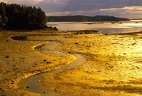 Tide at Sunset on Campobello Island Fine Art Print