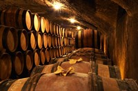 Wooden Barrels with Aging Wine in Cellar Fine Art Print