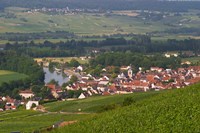View of Vallee de la Marne River and Vineyards Fine Art Print