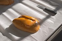 Foie Gras at Ferme de Biorne Duck and Fowl Farm Fine Art Print