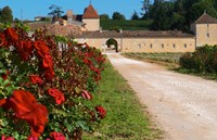 Chateau Grand Mayne Vineyard and Roses Fine Art Print