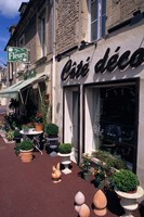 Flower Store, Normandy, France Fine Art Print