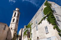 Town church of Montemaggiore Fine Art Print